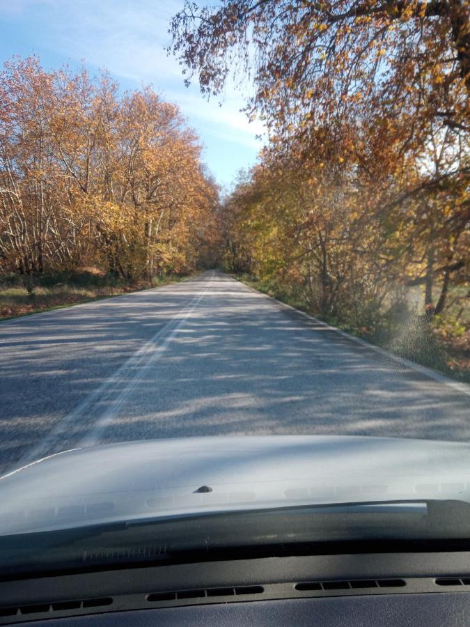 Lampros Studio Калампака Экстерьер фото